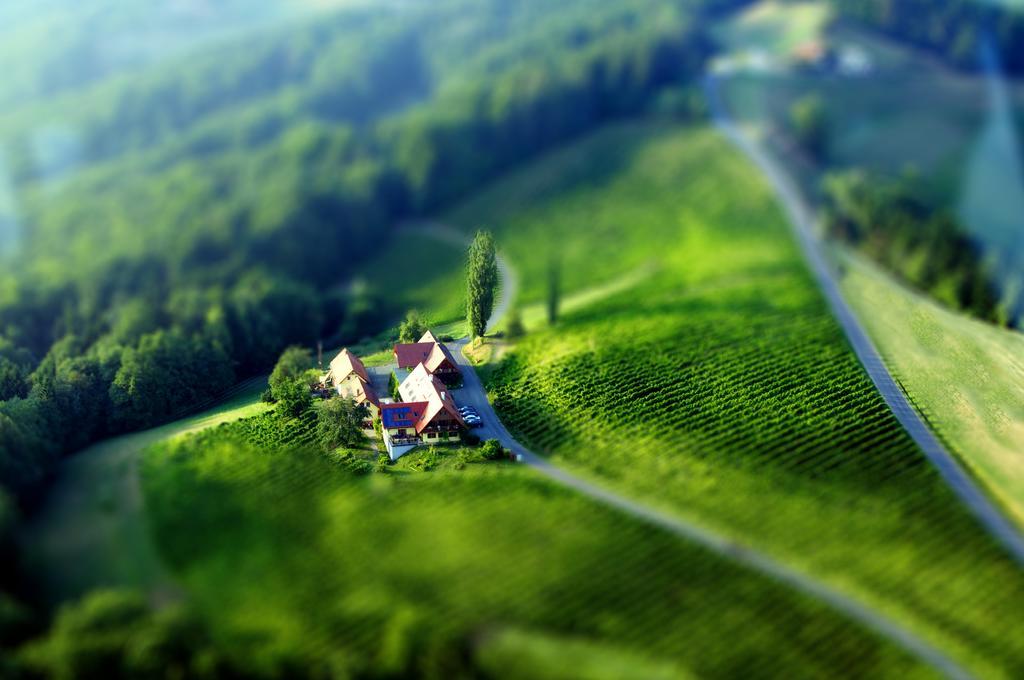 Weingut Winzerzimmer Rothschaedl ليوتسشاخ المظهر الخارجي الصورة