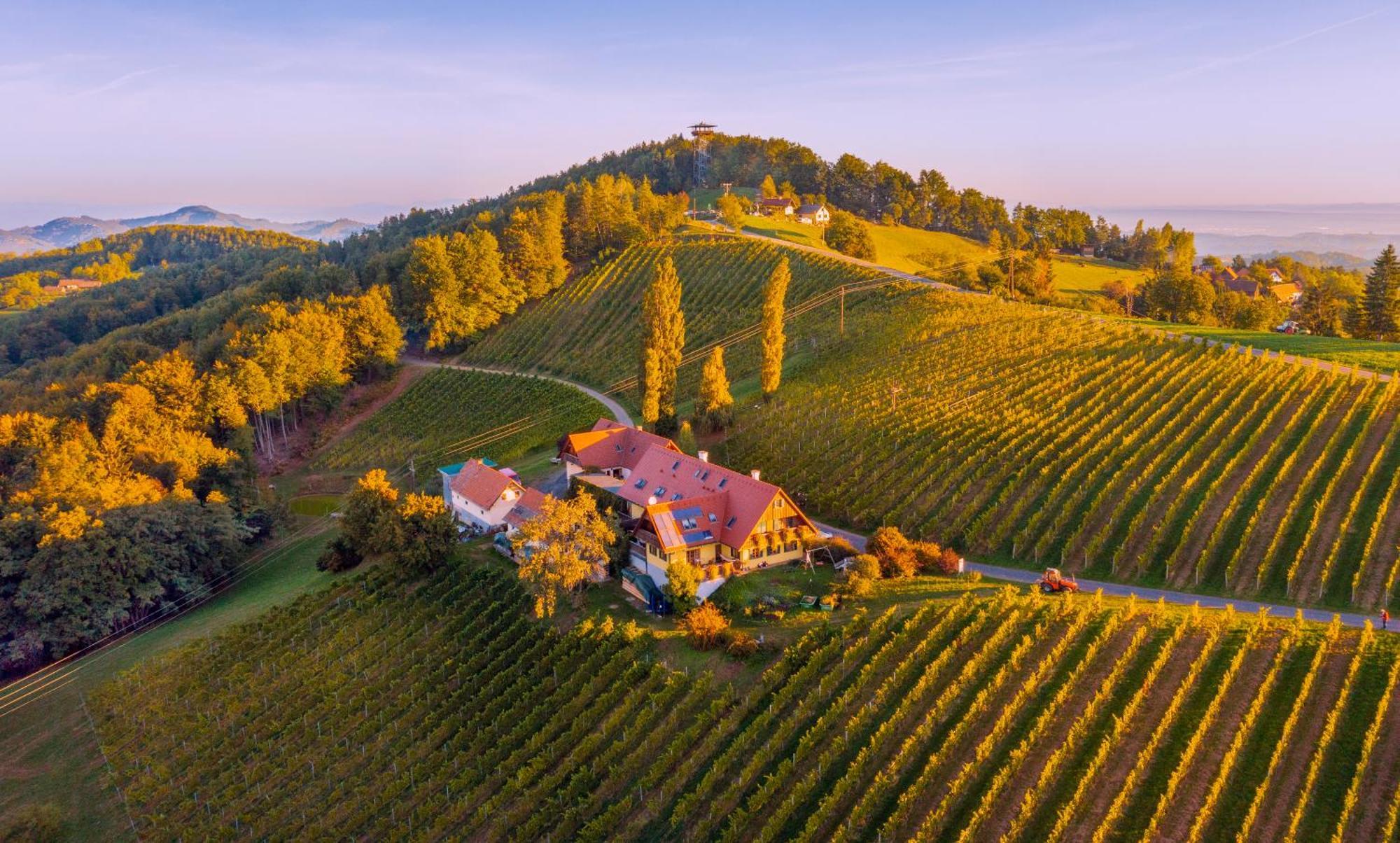 Weingut Winzerzimmer Rothschaedl ليوتسشاخ المظهر الخارجي الصورة