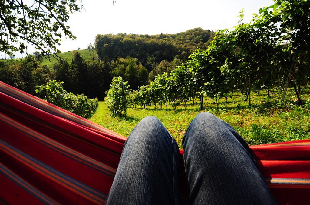 Weingut Winzerzimmer Rothschaedl ليوتسشاخ المظهر الخارجي الصورة