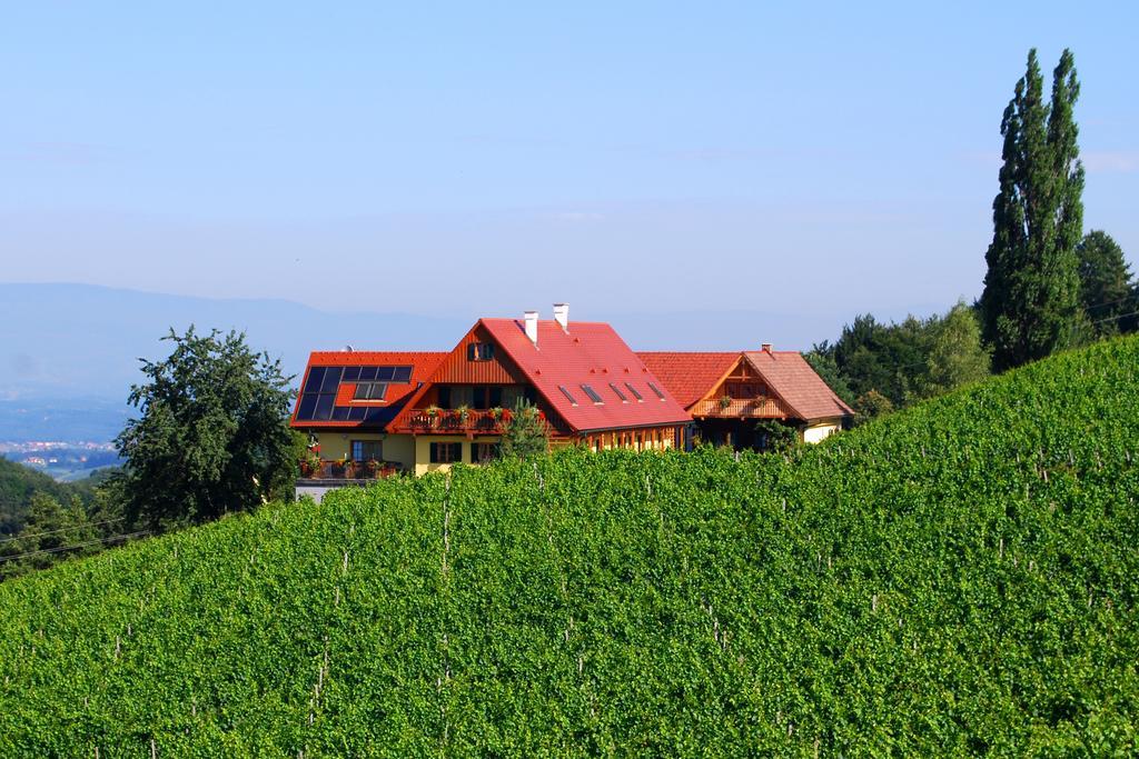 Weingut Winzerzimmer Rothschaedl ليوتسشاخ المظهر الخارجي الصورة