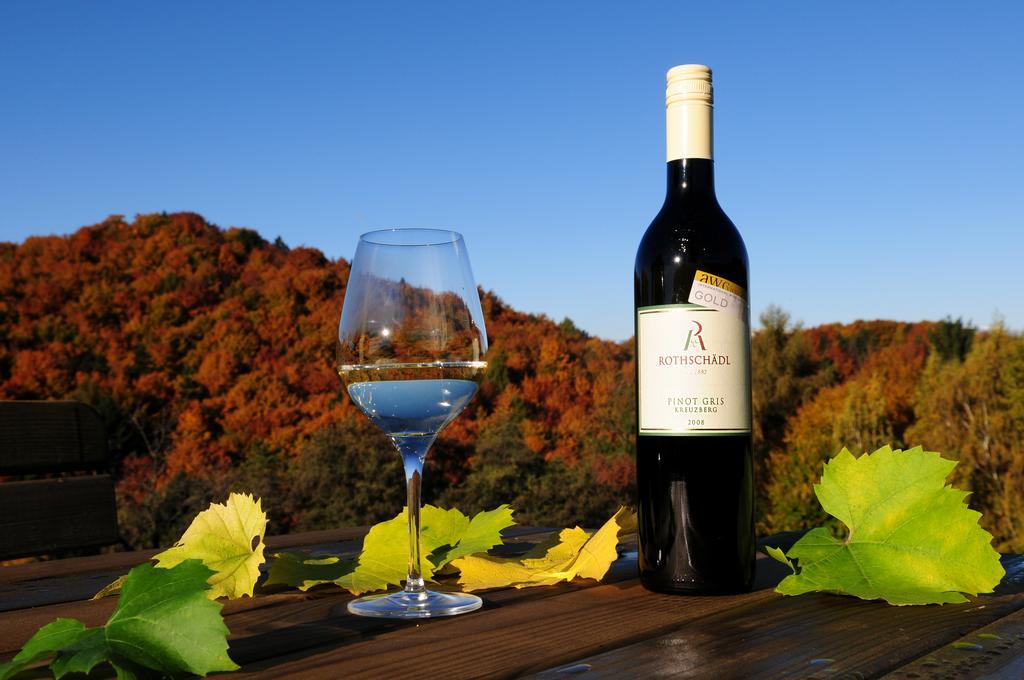 Weingut Winzerzimmer Rothschaedl ليوتسشاخ المظهر الخارجي الصورة