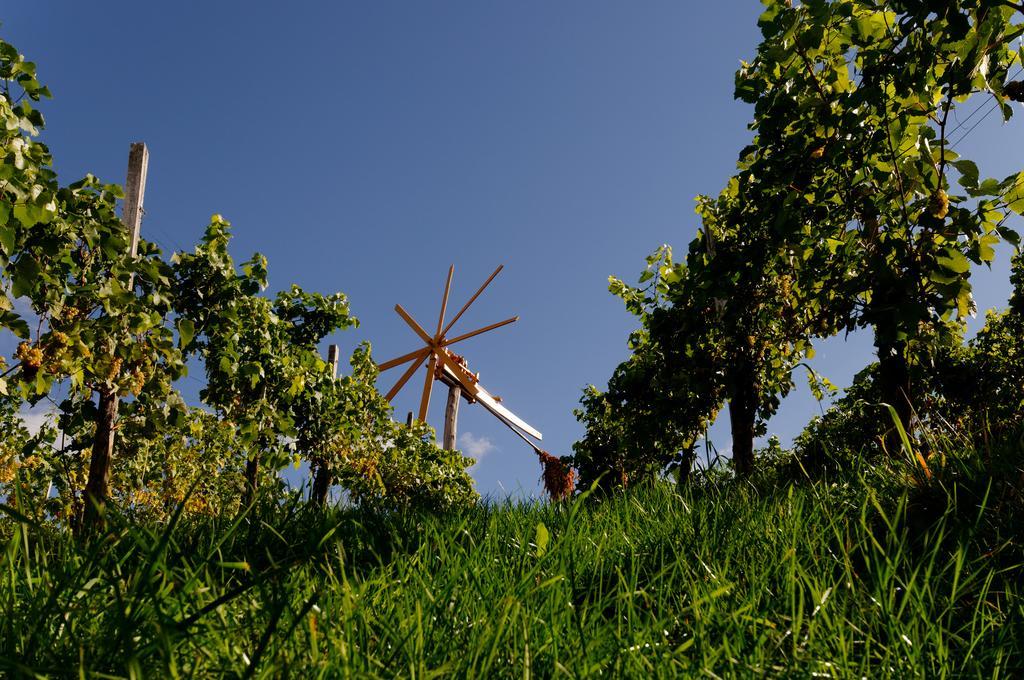 Weingut Winzerzimmer Rothschaedl ليوتسشاخ المظهر الخارجي الصورة
