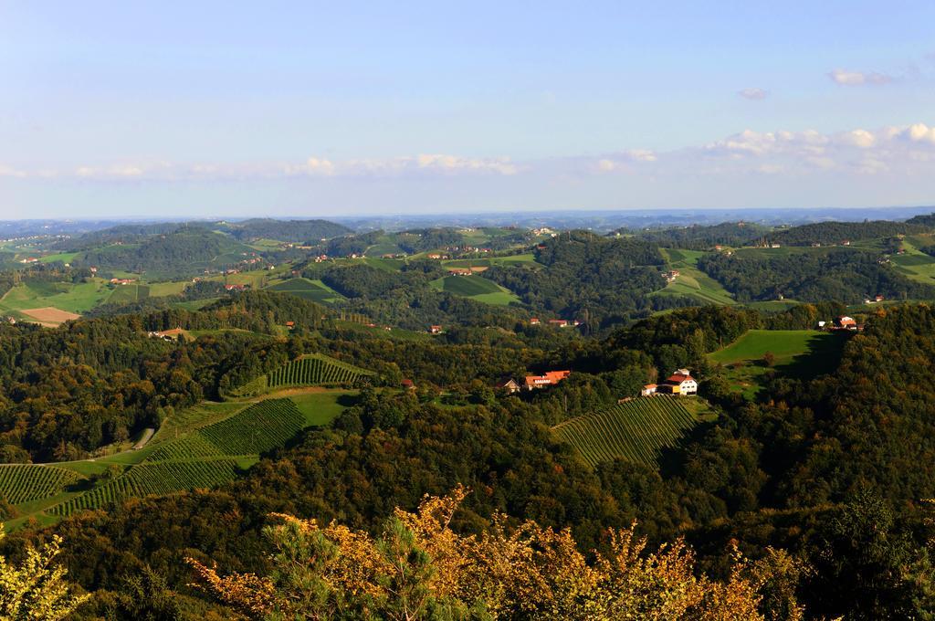 Weingut Winzerzimmer Rothschaedl ليوتسشاخ المظهر الخارجي الصورة