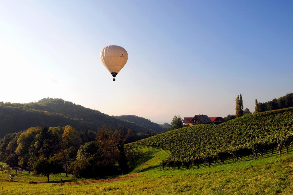 Weingut Winzerzimmer Rothschaedl ليوتسشاخ المظهر الخارجي الصورة